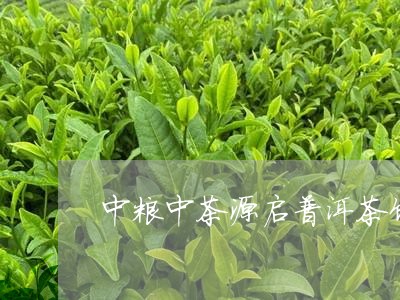 中粮中茶源启普洱茶饼/2023062213595