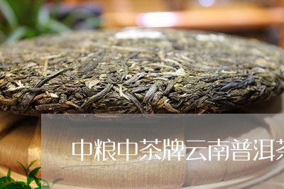 中粮中茶牌云南普洱茶/2023080103806