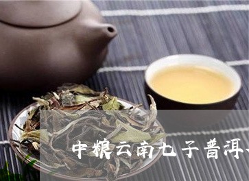 中粮云南七子普洱茶8591/2023110250484