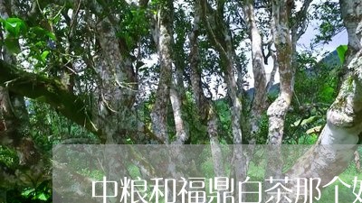 中粮和福鼎白茶那个好/2023120786469