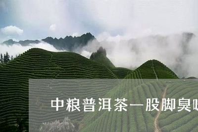 中粮普洱茶一股脚臭味/2023120666351