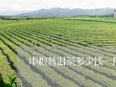 中粮普洱茶多少钱一斤/2023092516162