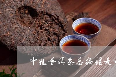 中粮普洱茶总经理是谁/2023062137050