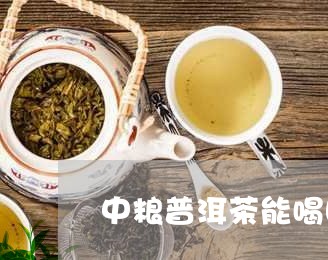 中粮普洱茶能喝吗现在/2023062959280