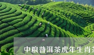 中粮普洱茶虎年生肖茶/2023120638140