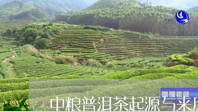 中粮普洱茶起源与来历/2023061426060