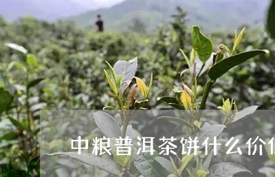 中粮普洱茶饼什么价位/2023101714947