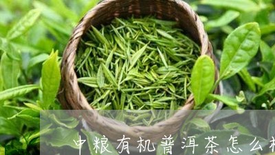 中粮有机普洱茶怎么样/2023092835957