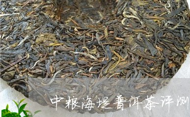 中粮海堤普洱茶评测/2023120565926