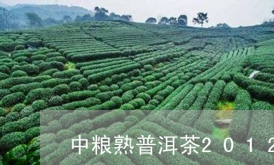 中粮熟普洱茶2012/2023080391705