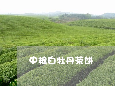 中粮白牡丹茶饼/2023112347270