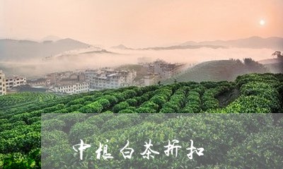 中粮白茶折扣/2023051291825