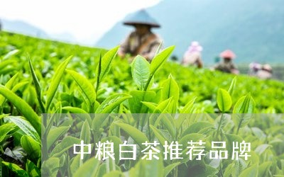 中粮白茶推荐品牌/2023061461728