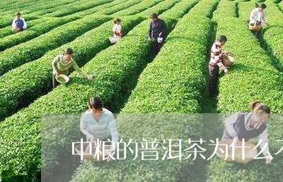 中粮的普洱茶为什么不推荐/2023110251505