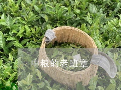 中粮的老班章/2023090734835