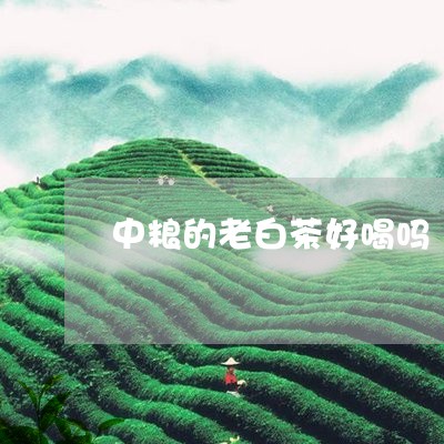 中粮的老白茶好喝吗/2023071438693