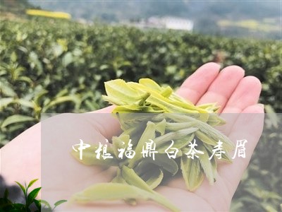 中粮福鼎白茶寿眉/2023061406249