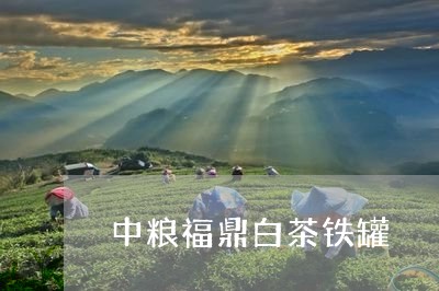 中粮福鼎白茶铁罐/2023061461827