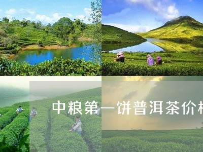 中粮第一饼普洱茶价格/2023072179581