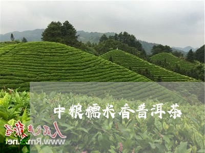 中粮糯米香普洱茶/2023102637392