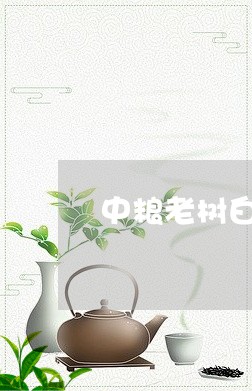 中粮老树白茶荔枝/2023061412069