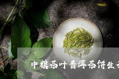 中粮茶叶普洱茶饼生茶/2023062246158