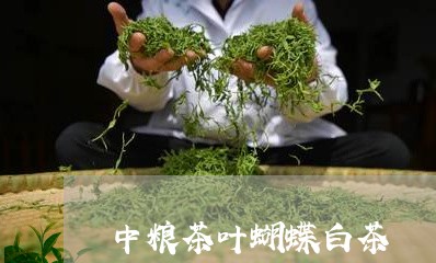 中粮茶叶蝴蝶白茶/2023061422027