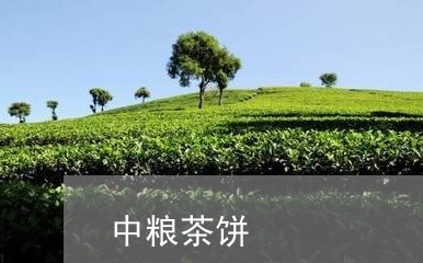 中粮茶饼/2023121968492