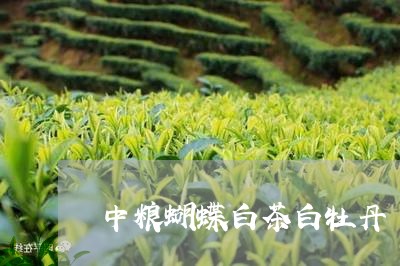 中粮蝴蝶白茶白牡丹/2023121692713