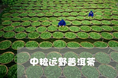 中粮远野普洱茶/2023081883703