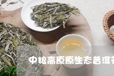 中粮高原原生态普洱茶/2023072423928