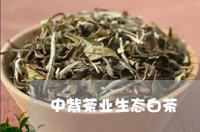 中紫茶业生态白茶/2023061438461