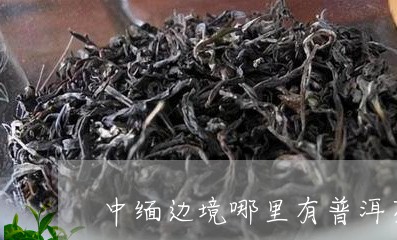 中缅边境哪里有普洱茶/2023062109272