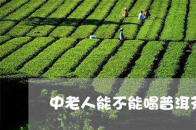 中老人能不能喝普洱茶/2023072332826