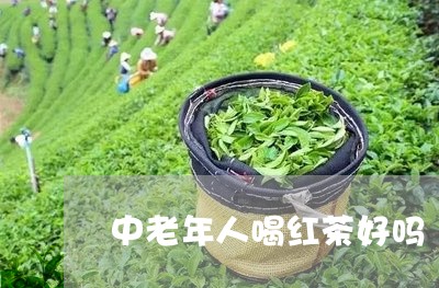 中老年人喝红茶好吗/2023042274059