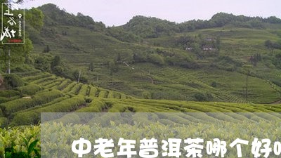 中老年普洱茶哪个好喝/2023080101635