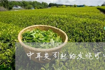 中耳炎引起的发烧可以喝普洱茶吗/2023060322524