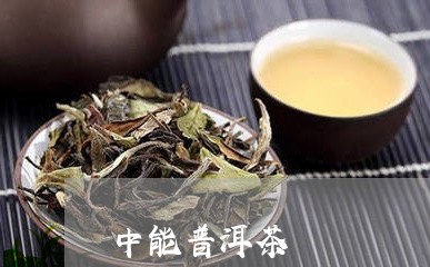 中能普洱茶/2023112574727