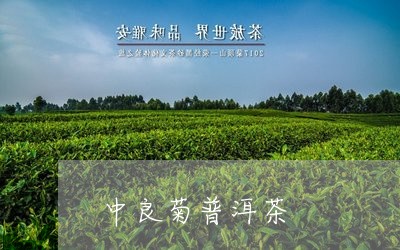 中良菊普洱茶/2023042865014