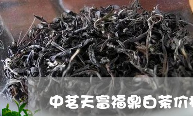 中茗天富福鼎白茶价格/2023091573936