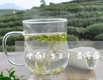 中茶1581普洱茶/2023120509482