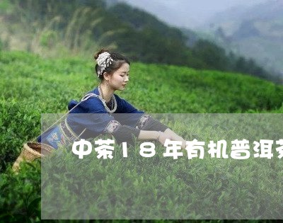 中茶18年有机普洱茶/2023080278572