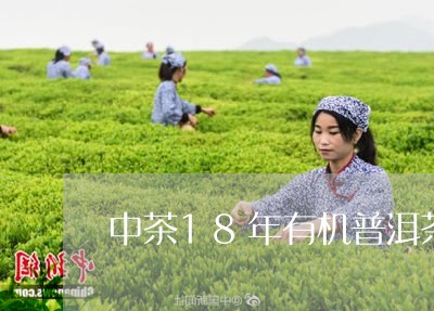 中茶18年有机普洱茶/2023100616938