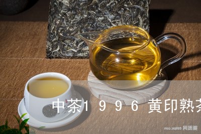 中茶1996黄印熟茶/2023061196947