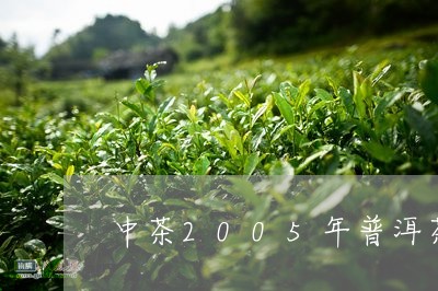 中茶2005年普洱茶价格/2023082793703