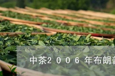 中茶2006年布朗普洱茶/2023110226947