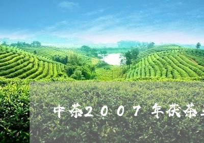 中茶2007年茯茶王/2023071504960