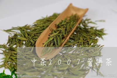 中茶2007普洱茶/2023091466047