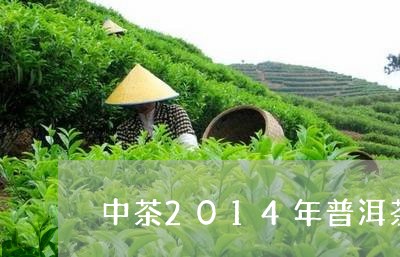 中茶2014年普洱茶/2023062883735