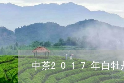 中茶2017年白牡丹/2023120963919